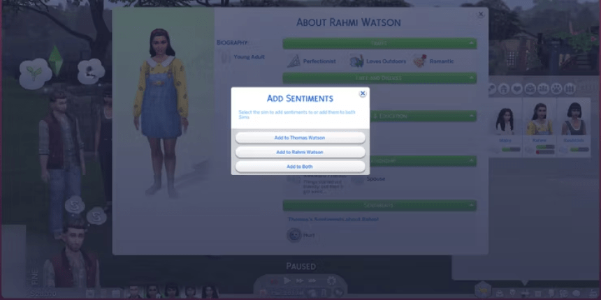 Sims Relationship adjustments