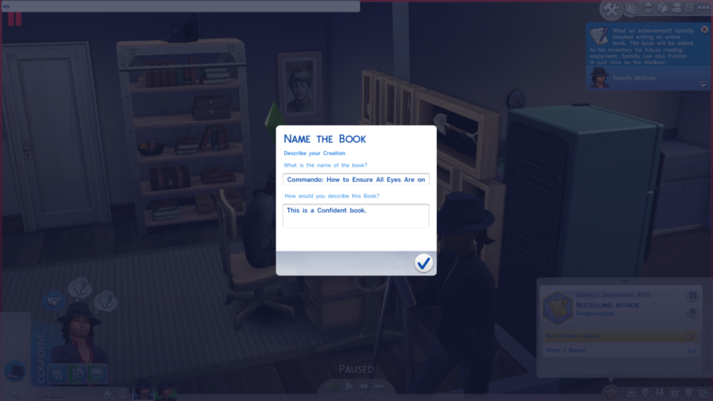 sims book