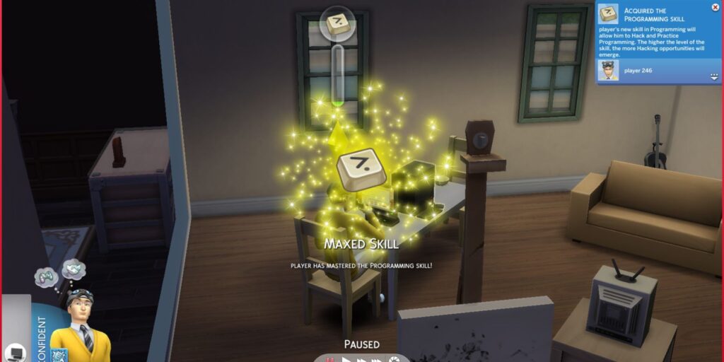 sims coding skills