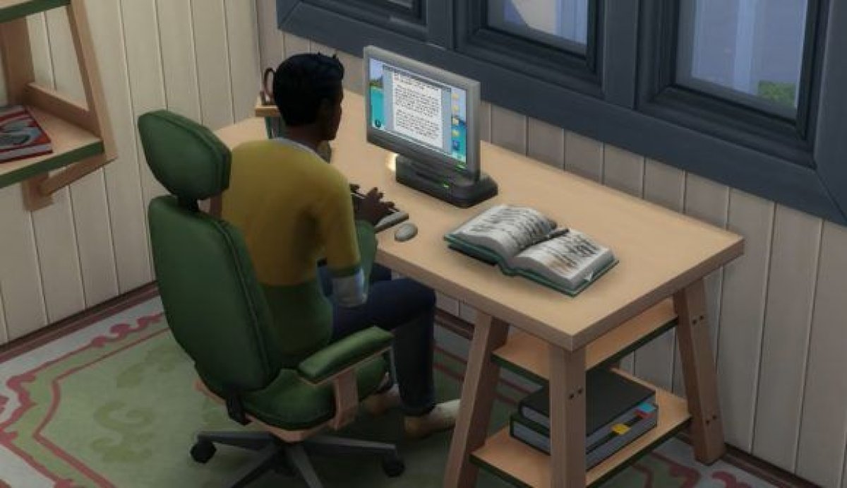 sims writer