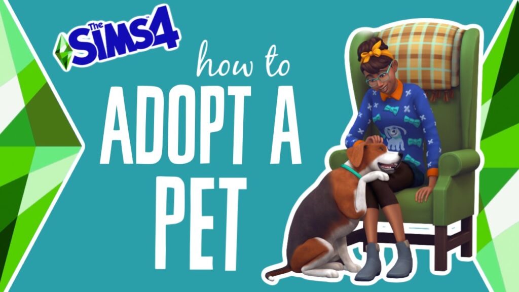 adopt a pet