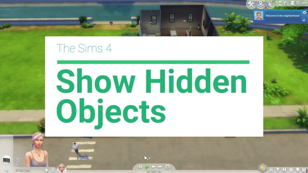 hidden objects sims 4